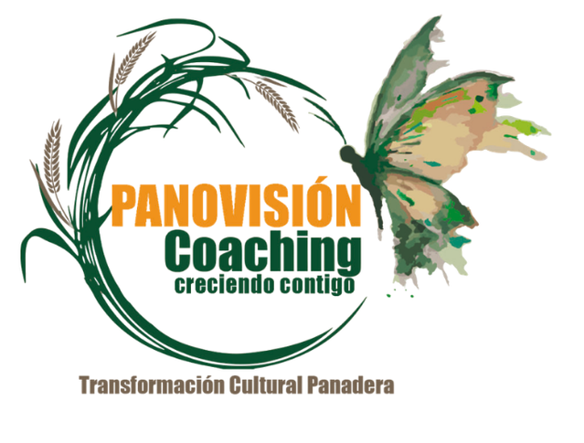 Panovisión Coaching